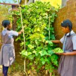 बच्चों को मिल रहा पौष्टिक आहार विद्यालय की बगिया से