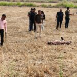 खरसिया के ग्राम परासकोल के खेत में मिला युवक का शव — हत्या का मामला दर्ज, जांच में जुटी पुलिस