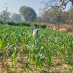 सब्जी उत्पादन से आत्मनिर्भर बनीं सविता राठिया,60 हजार रुपये की राशि से शुरू की आजीविका गतिविधि, नियमित आय का बना मजबूत साधन