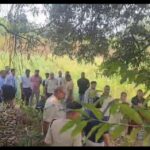 रायगढ़: तमनार में अवैध अफ़ीम की खेती का भंडाफोड़, मुख्य आरोपी हिरासत में,कड़ी पूछताछ जारी