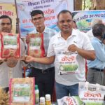 लैलूंगा की पहचान बना ‘केलो’ जैविक जंवाफूल चावल,देशभर में बढ़ रही मांग, बेंगलुरु से कारगिल तक पहुंच रहा सुगंधित चावल