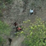 वन विभाग की सतर्क निगरानी से टला बड़ा हादसा